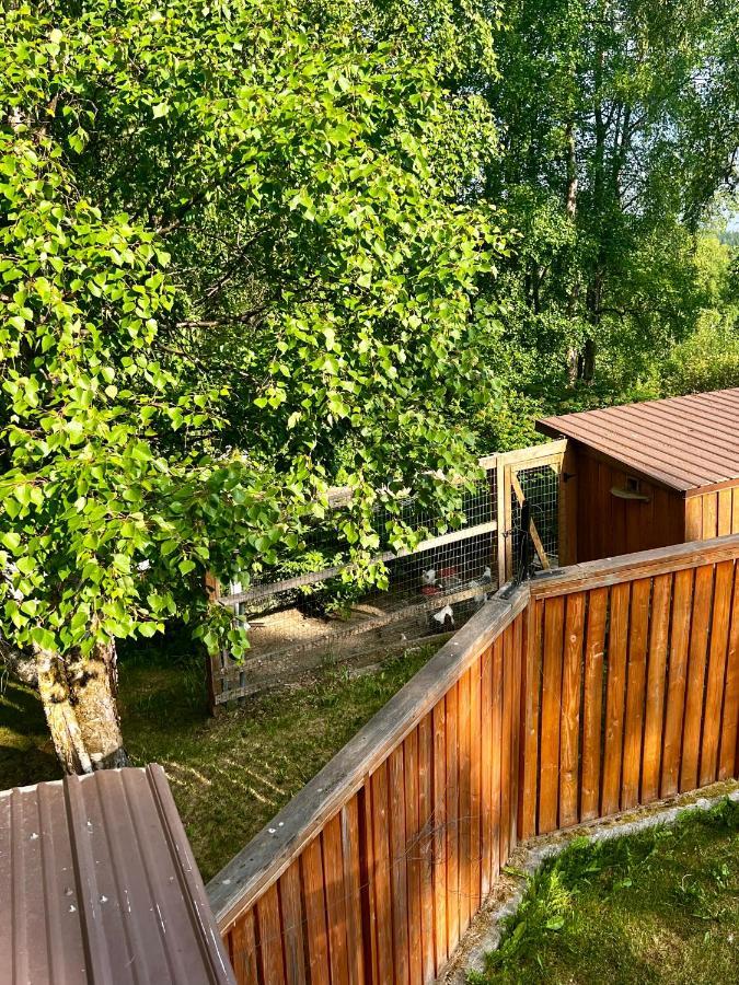 Indian Ak 25 Min To Anchorage & 25 Min To Girdwood Villa Exterior photo